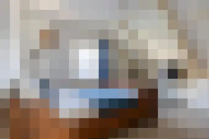 Langedyk 25 Alde Leie thumbnail 21