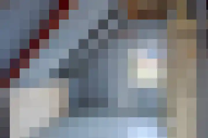 Langedyk 25 Alde Leie thumbnail 25