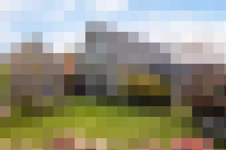 Langedyk 25 Alde Leie thumbnail 28