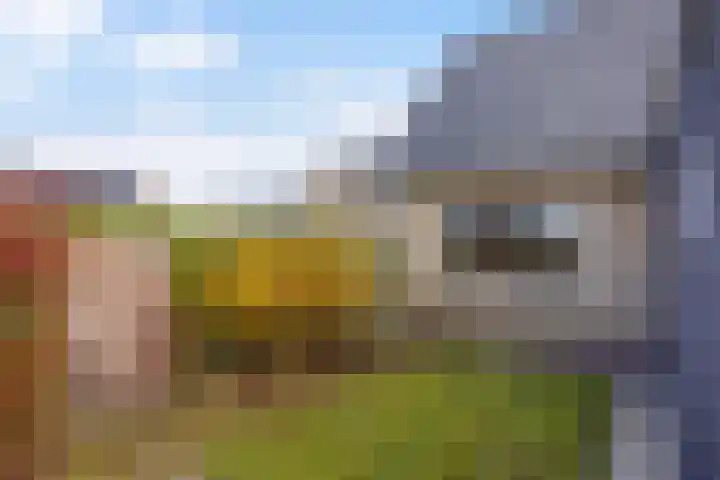 Langedyk 25 Alde Leie thumbnail 32