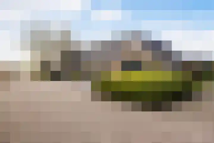 Langedyk 25 Alde Leie thumbnail 35