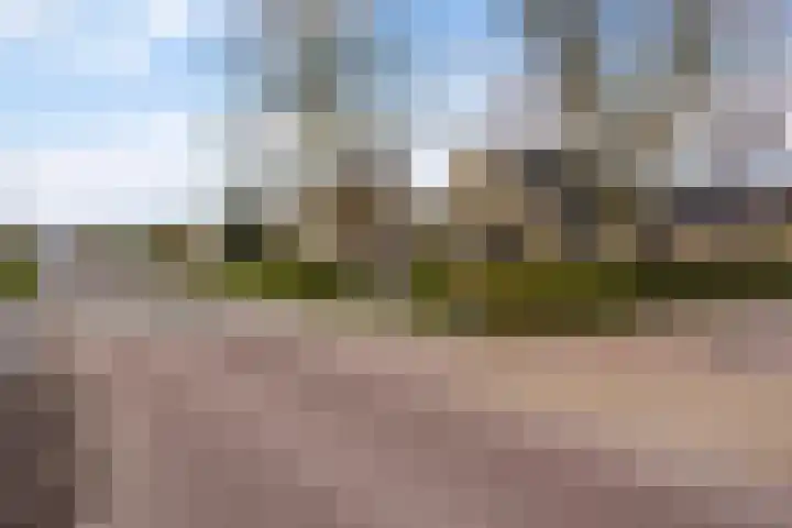 Langedyk 25 Alde Leie thumbnail 36