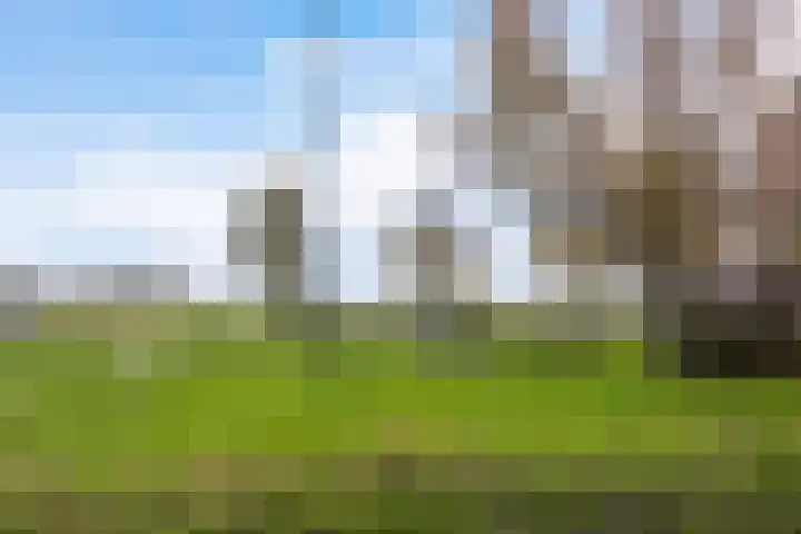 Langedyk 25 Alde Leie thumbnail 40