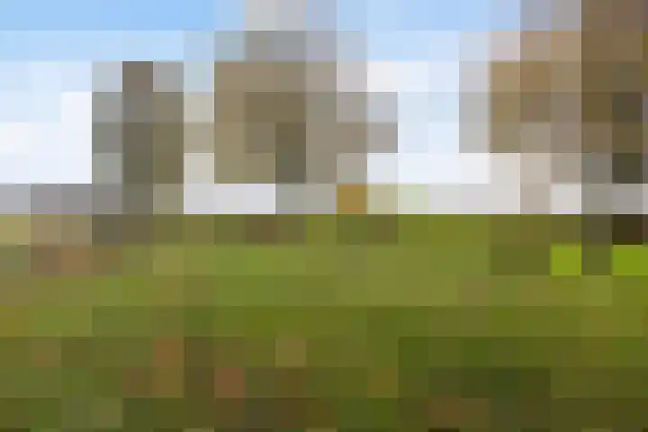 Langedyk 25 Alde Leie thumbnail 42