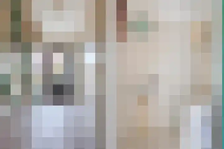 Langedyk 25 Alde Leie thumbnail 6