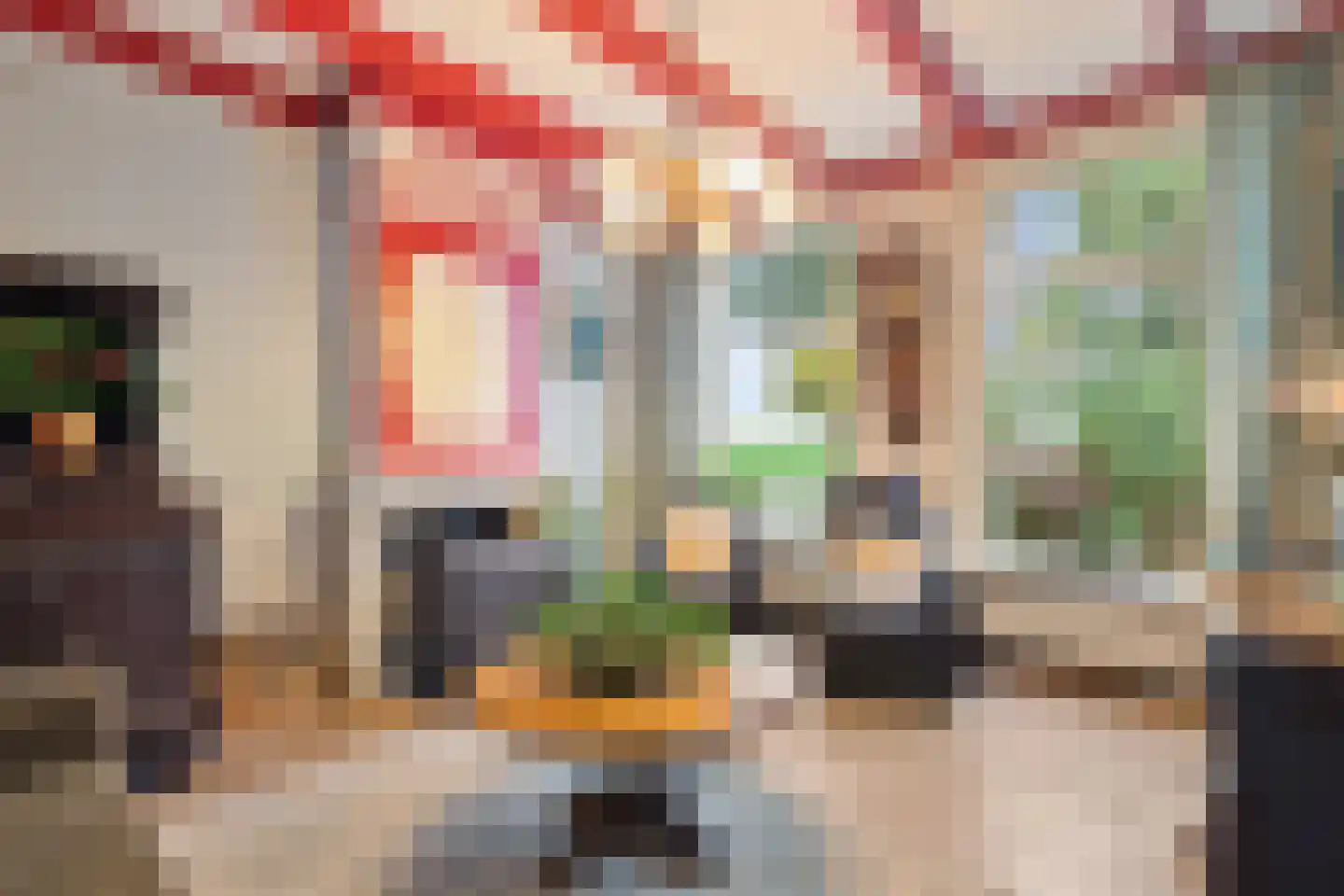 Langedyk 6 Akmarijp thumbnail 14