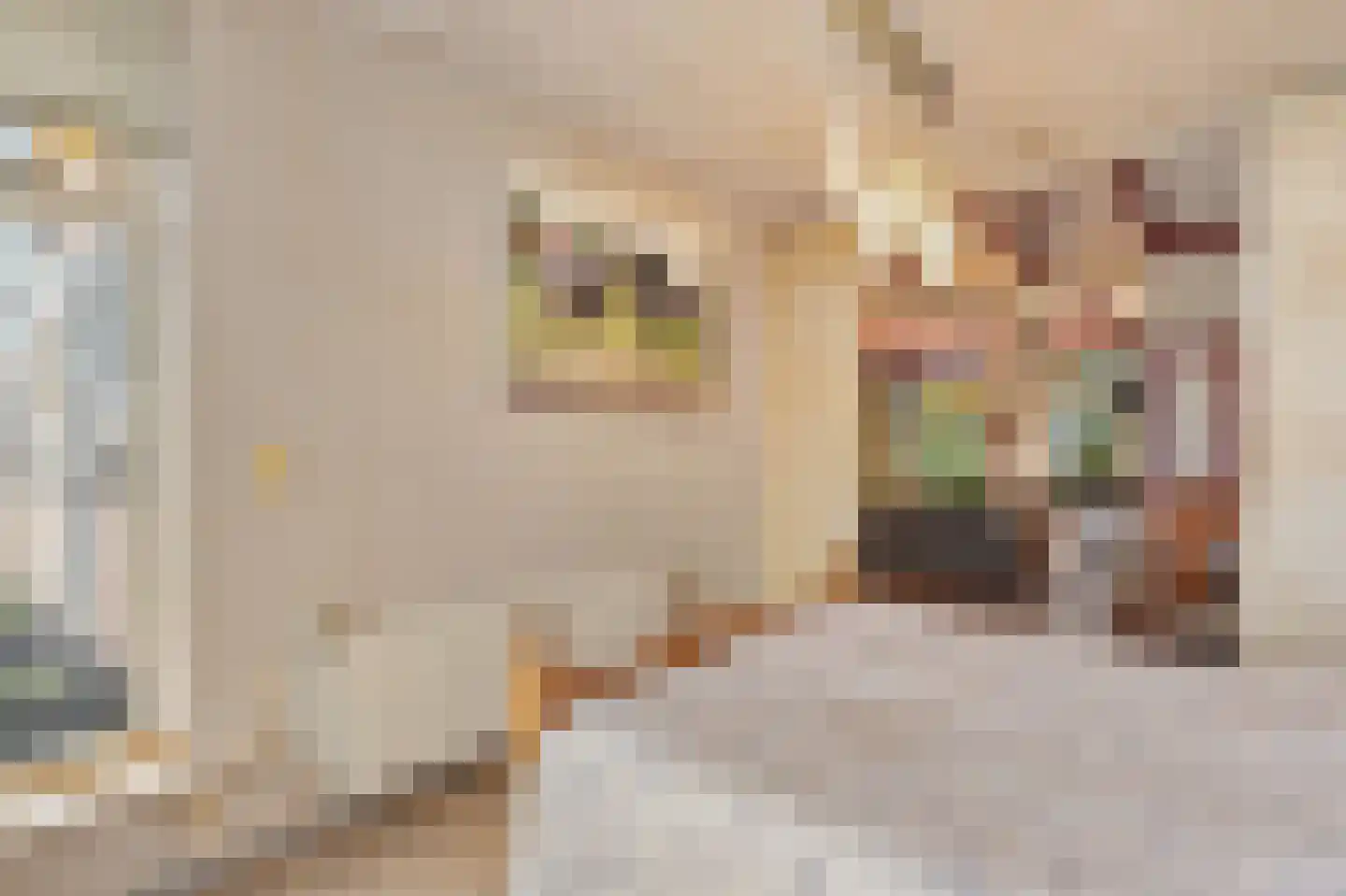 Langedyk 6 Akmarijp thumbnail 28