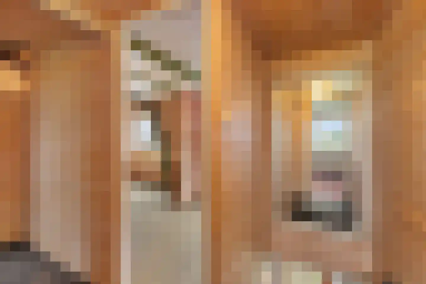 Langedyk 6 Akmarijp thumbnail 31