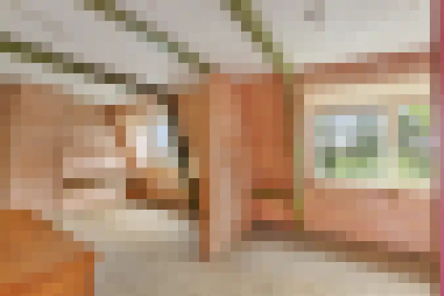 Langedyk 6 Akmarijp thumbnail 32