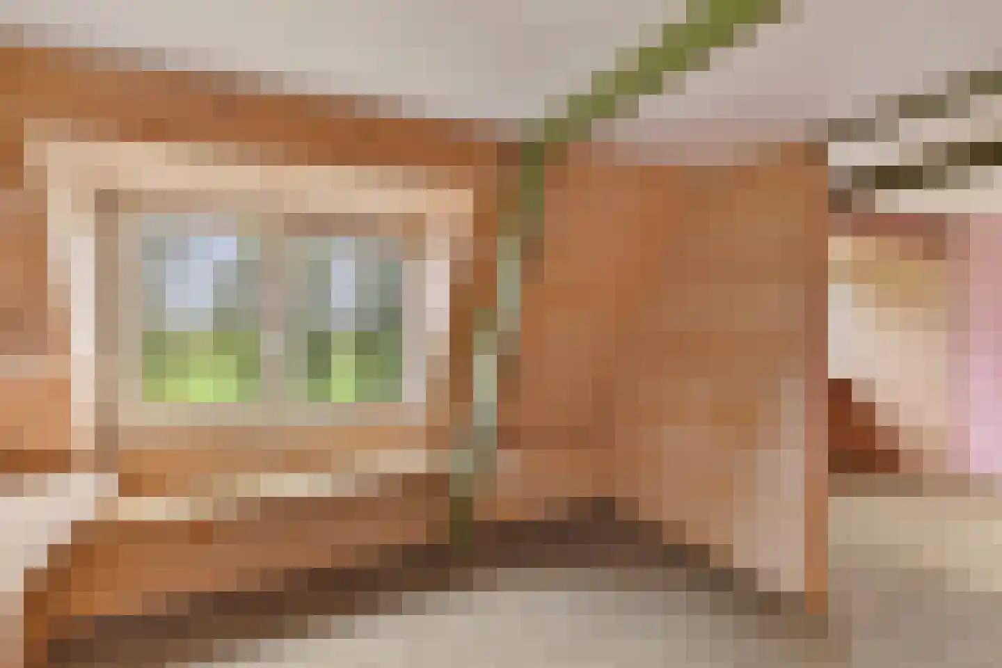 Langedyk 6 Akmarijp thumbnail 33