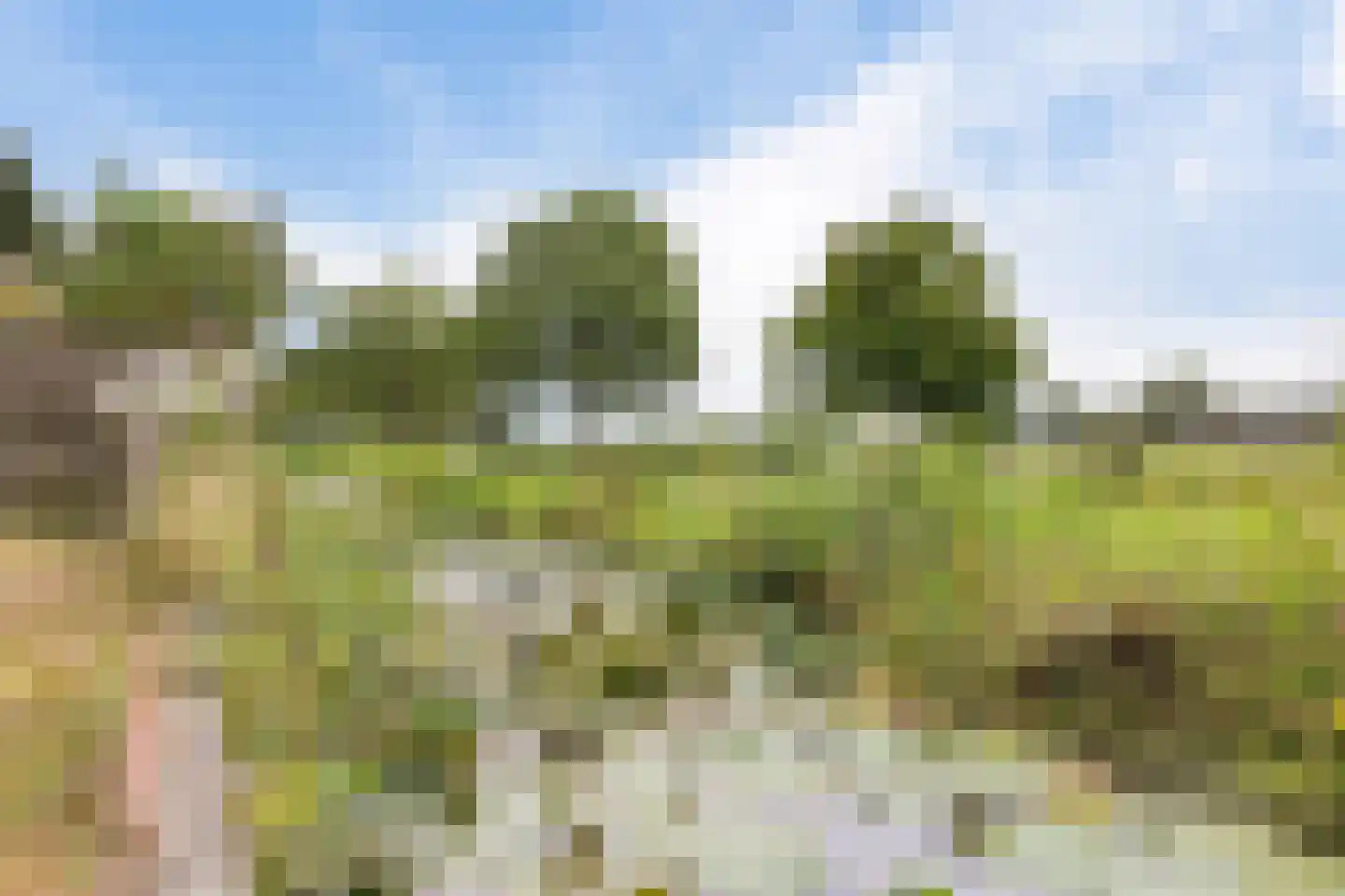 Langedyk 6 Akmarijp thumbnail 45