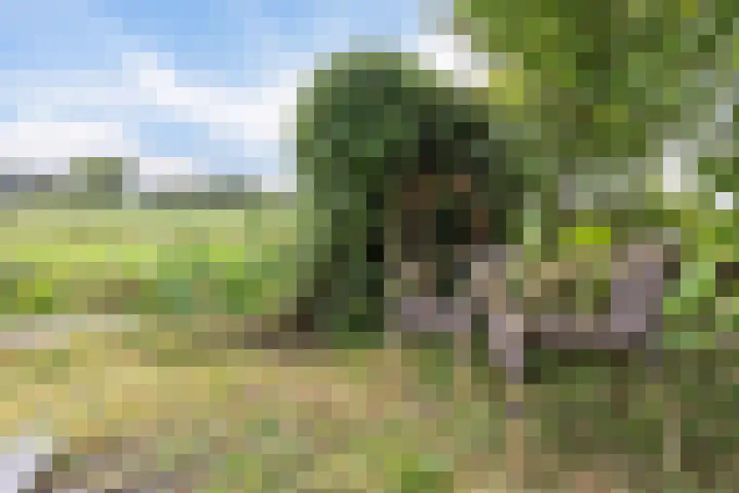 Langedyk 6 Akmarijp thumbnail 47