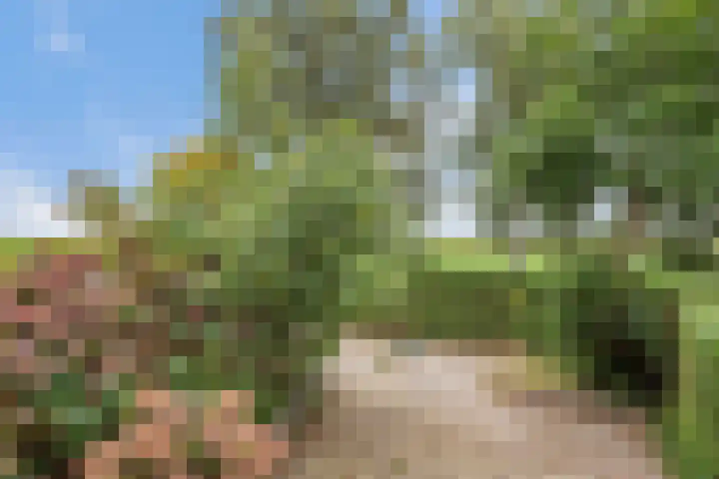 Langedyk 6 Akmarijp thumbnail 7