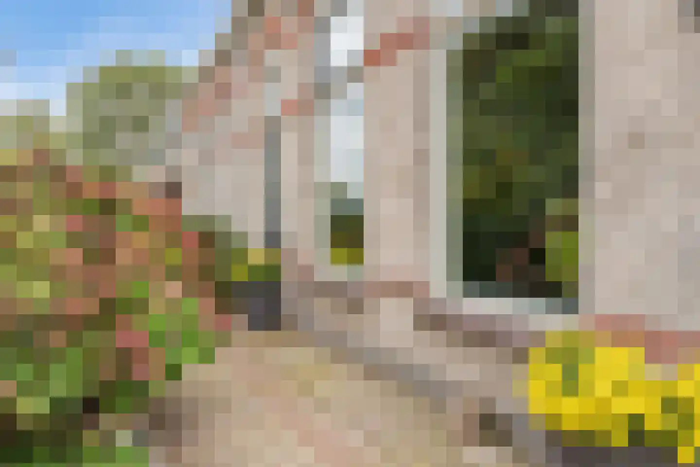 Langedyk 6 Akmarijp thumbnail 8