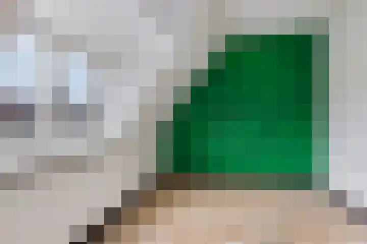 Langegeer 166 Rotterdam thumbnail 12