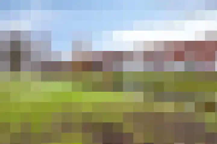 Langegeer 166 Rotterdam thumbnail 19