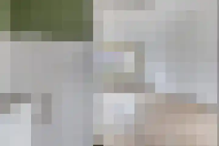 Langegeer 166 Rotterdam thumbnail 6