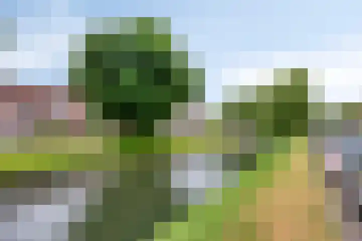 Langegeer 174 Rotterdam thumbnail 23
