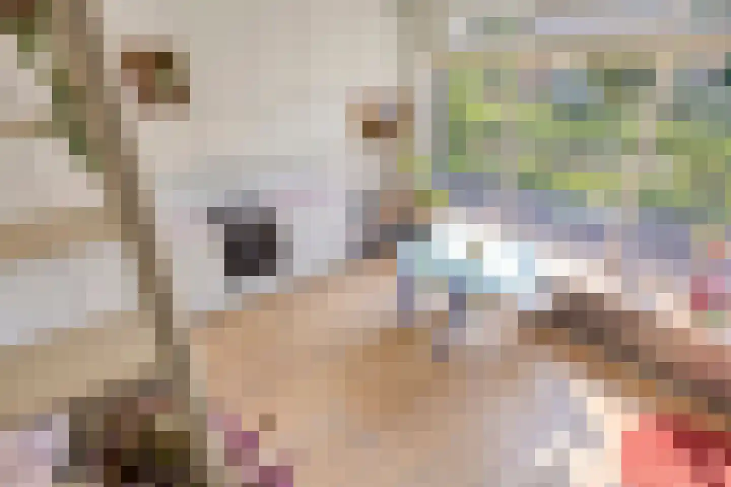 Langegeer 2 B Rotterdam thumbnail 17