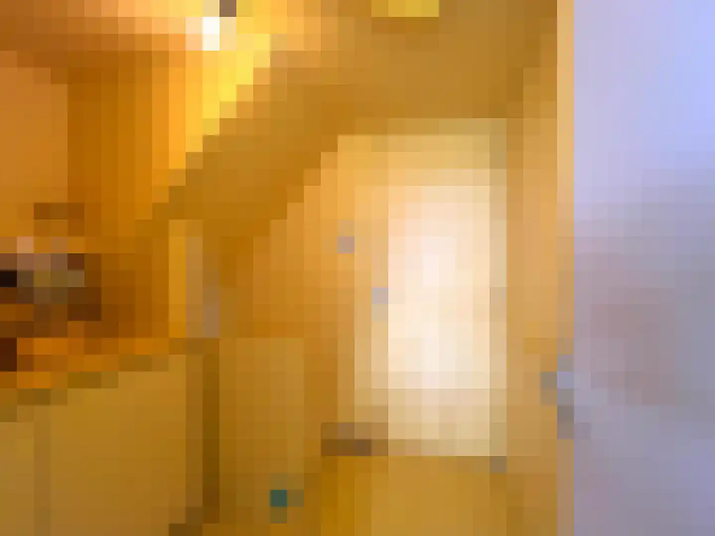 Langegeer 2 B Rotterdam thumbnail 19