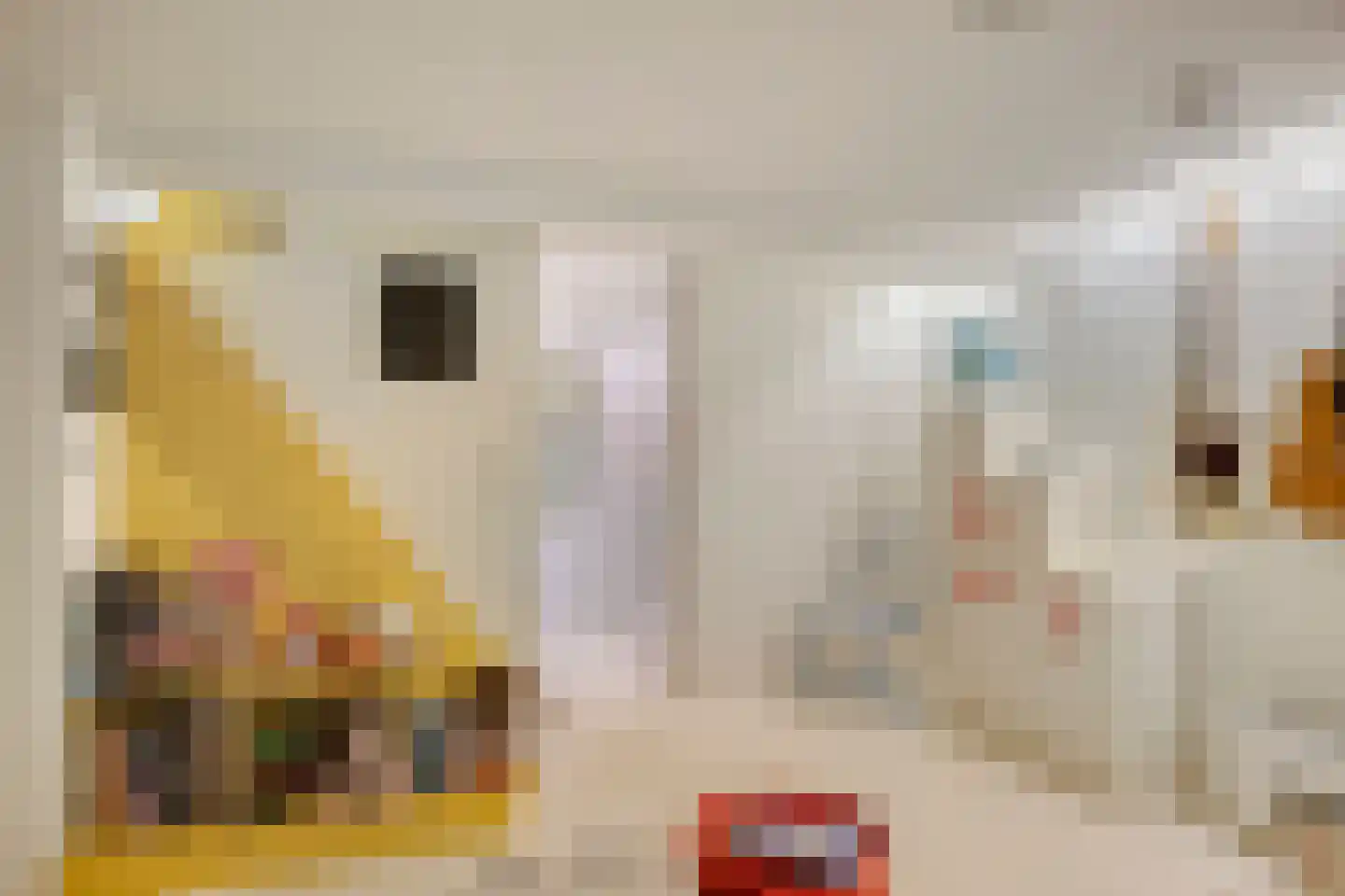 Langegeer 2 B Rotterdam thumbnail 22