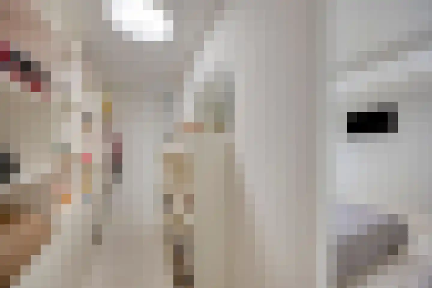 Langegeer 2 B Rotterdam thumbnail 30