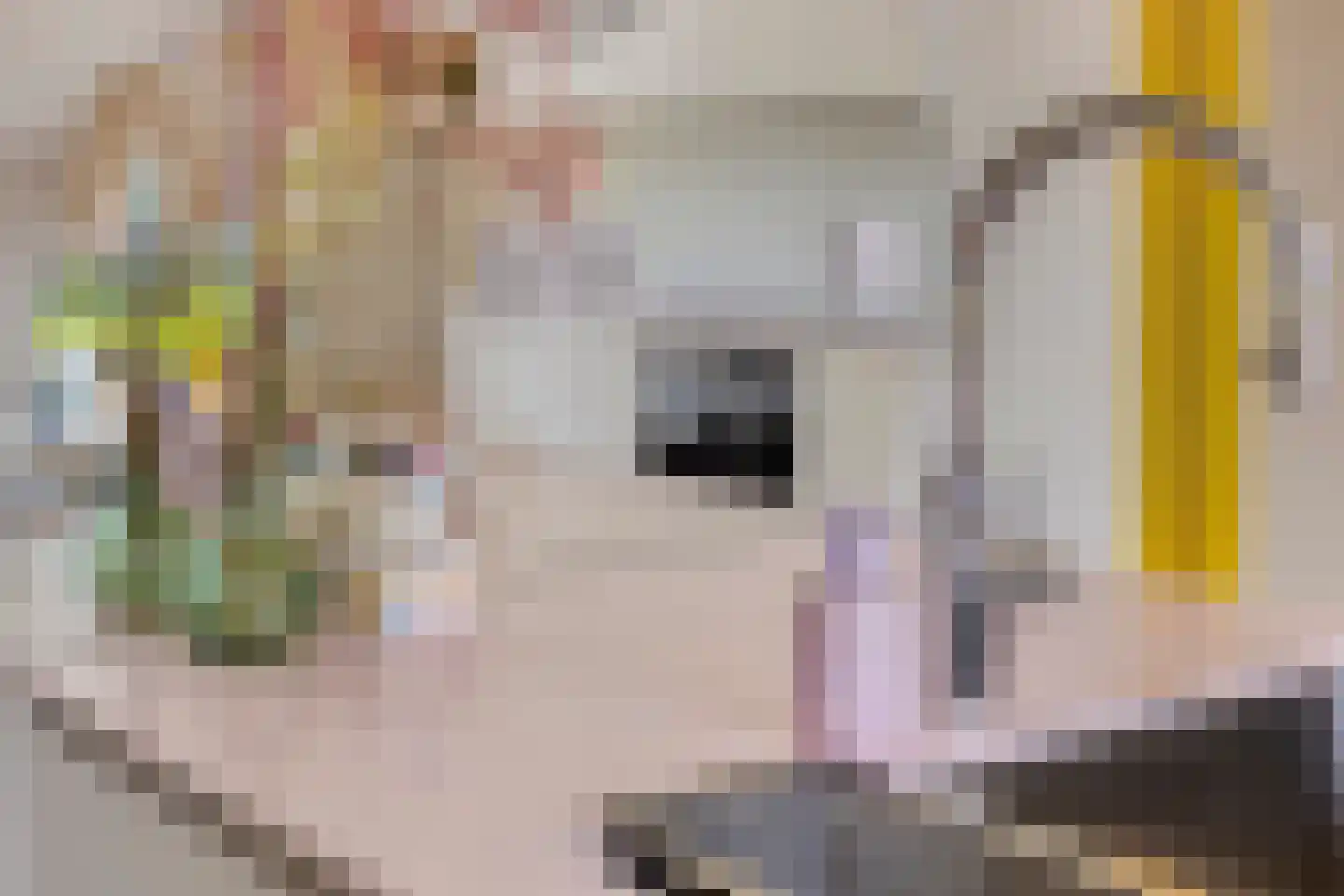 Langegeer 2 B Rotterdam thumbnail 8