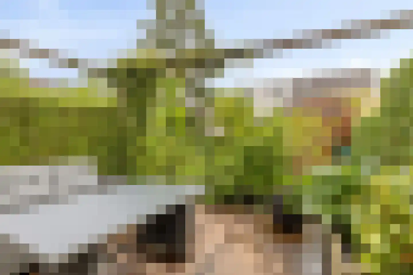 Langegeer 24 Rotterdam thumbnail 10