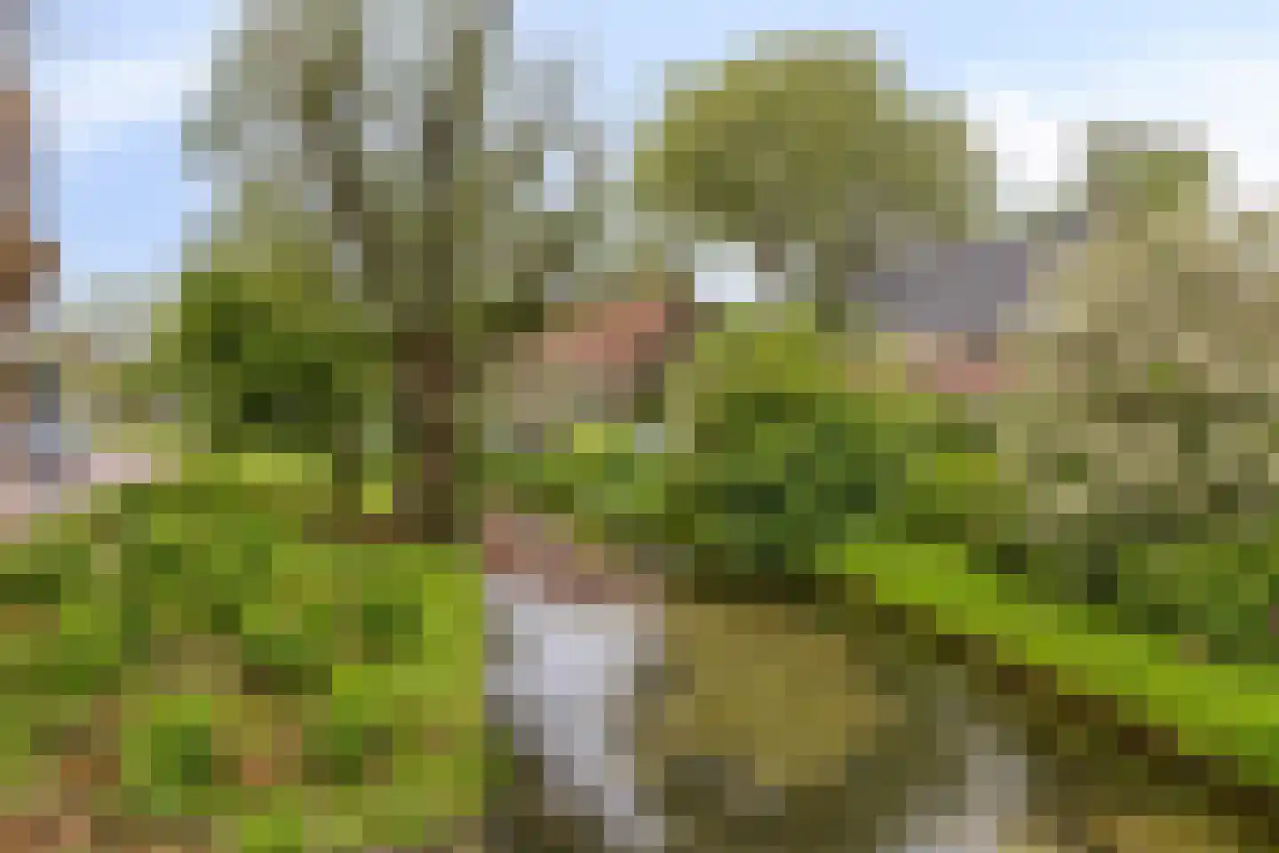 Langegeer 24 Rotterdam thumbnail 21