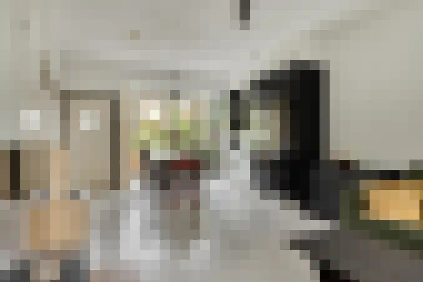 Langegeer 24 Rotterdam thumbnail 5