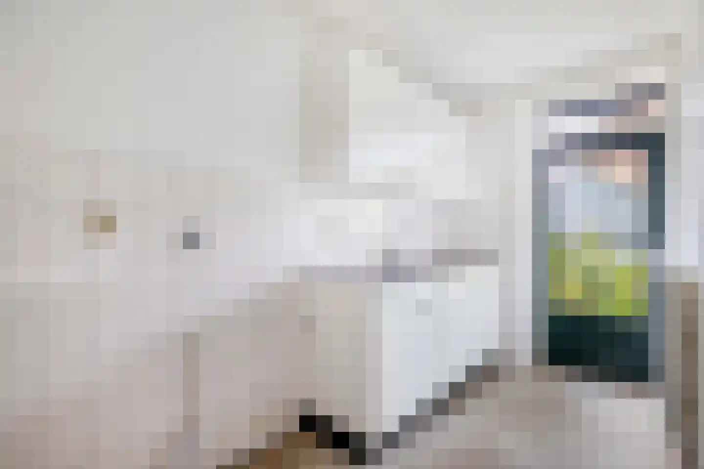 Langegeer 97 Rotterdam thumbnail 11