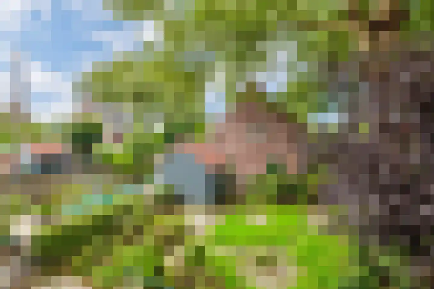 Langegeer 97 Rotterdam thumbnail 33