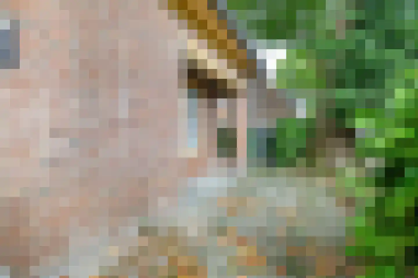 Langegeer 97 Rotterdam thumbnail 34