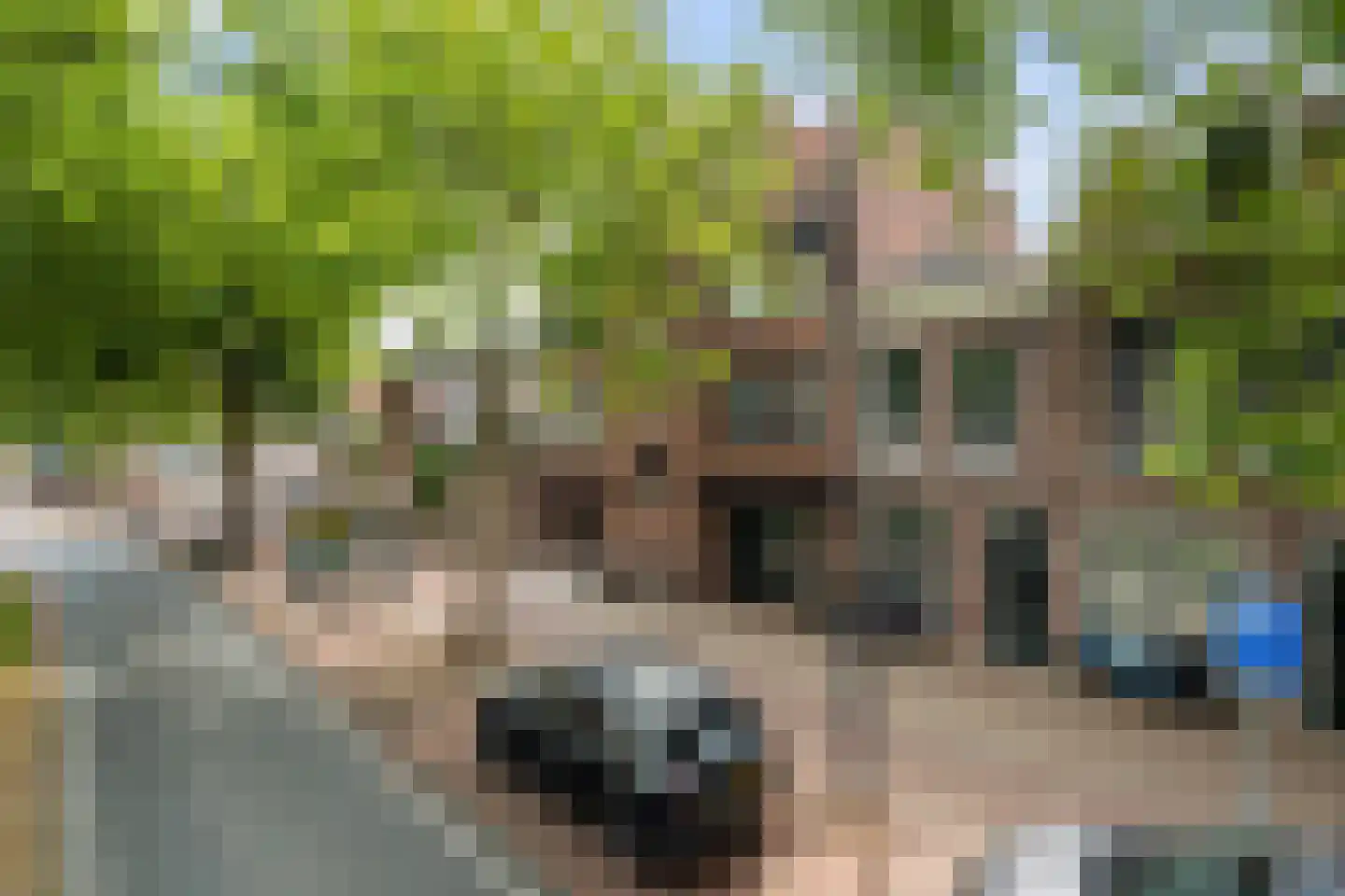 Langegracht 163 D Leiden thumbnail 24