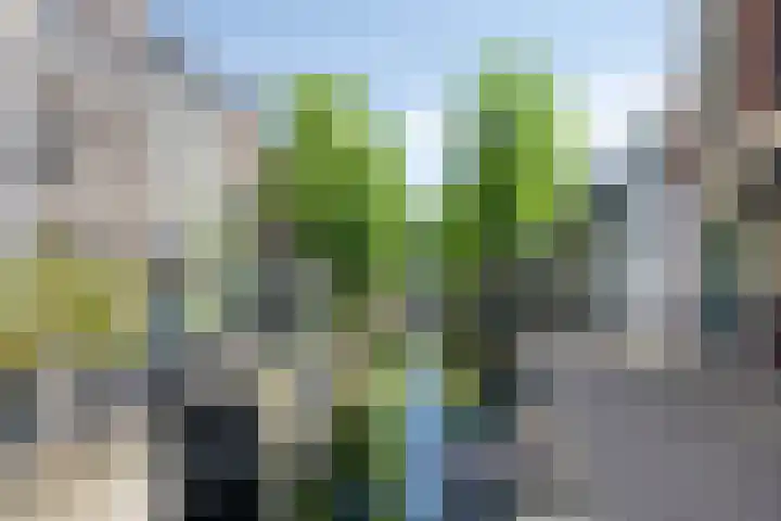 Langegracht 3 D Amersfoort thumbnail 27