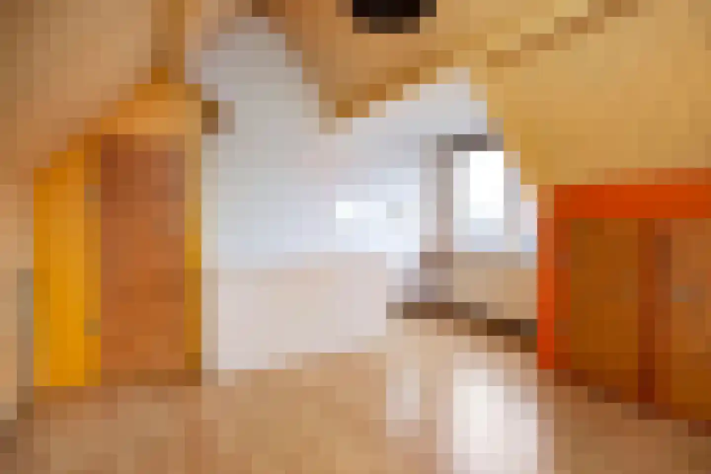 Langegracht 3 Maarssen thumbnail 37