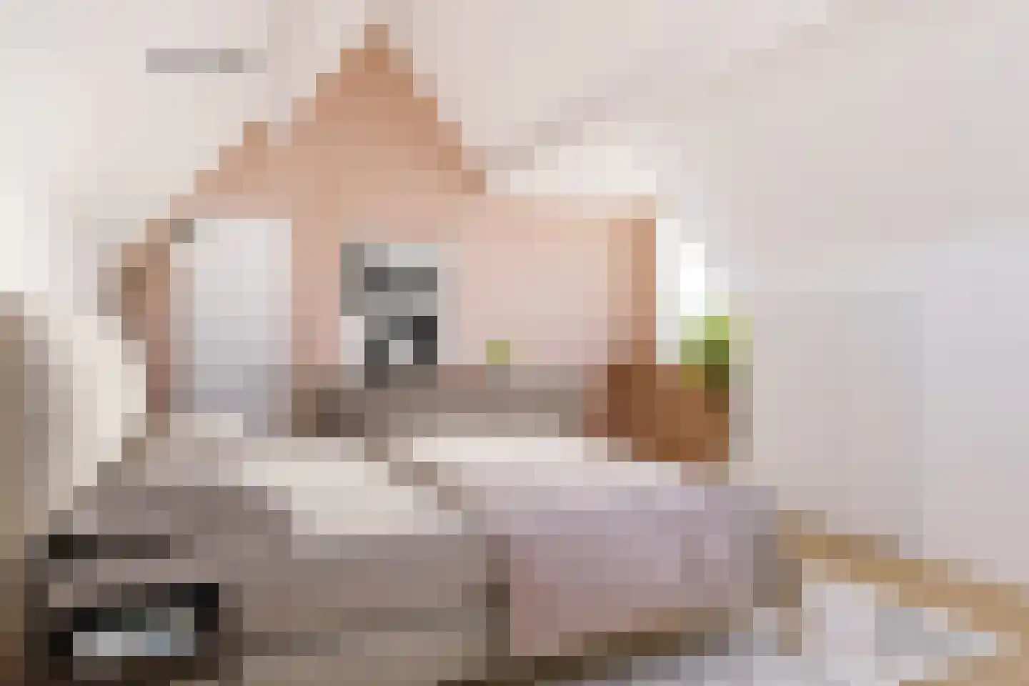 Langegracht 3 Maarssen thumbnail 38