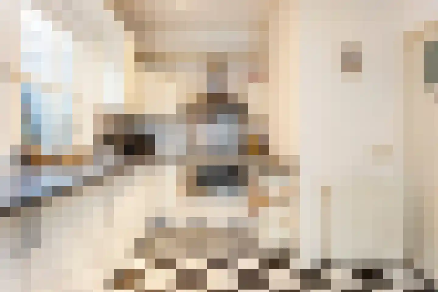 Langegracht 3 Maarssen thumbnail 61