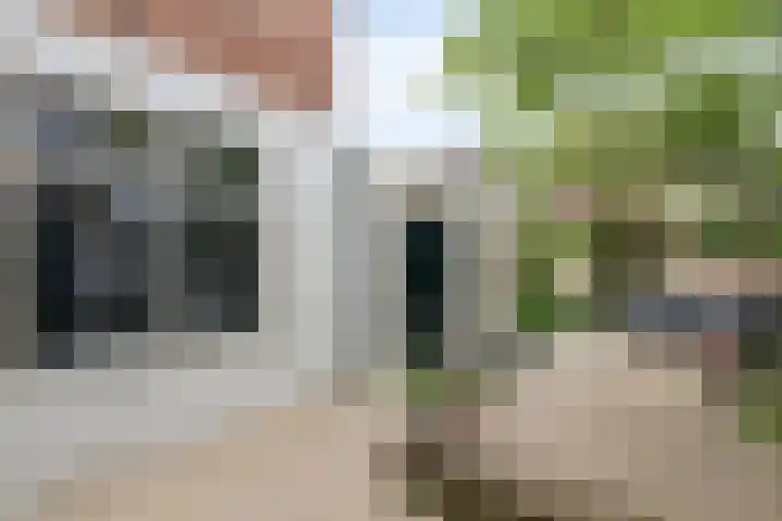Langegracht 34 Maarssen thumbnail 31