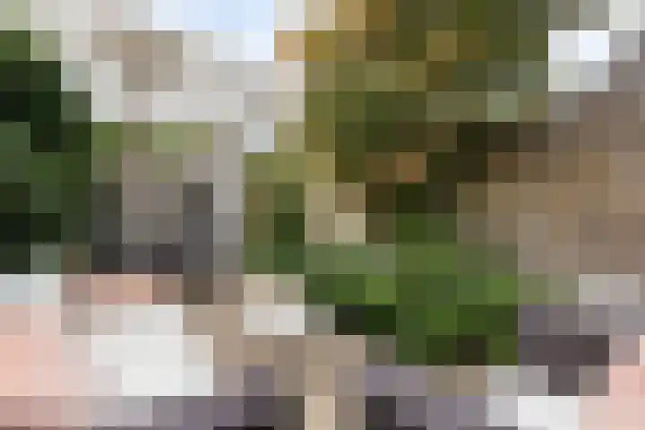 Langegracht 34 Maarssen thumbnail 34