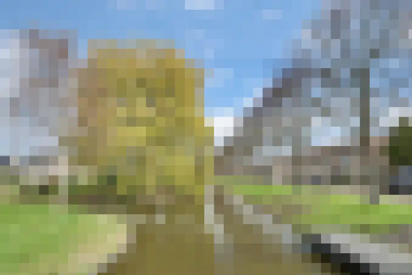 Langegracht 48 Kapelle thumbnail 44