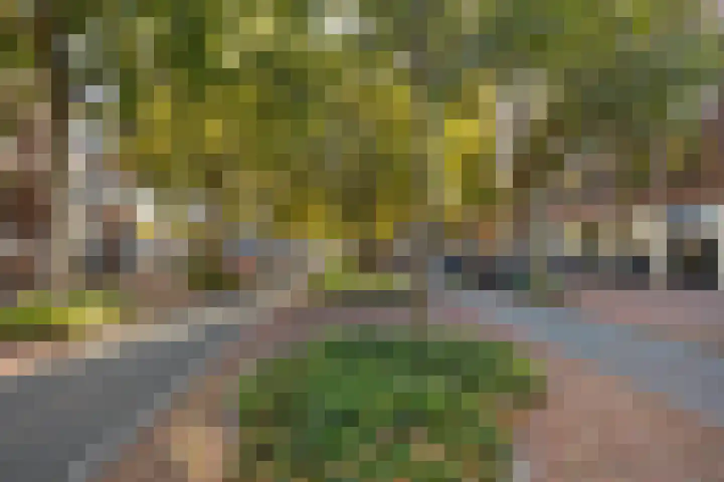 Langegracht 69 M Leiden thumbnail 17