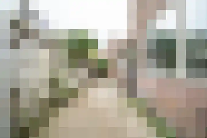 Langegracht 81 Leiden thumbnail 11