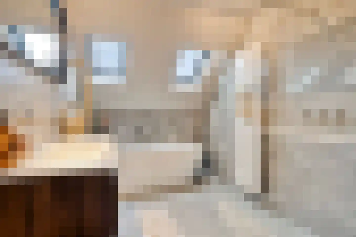 Langehof 13 Ammerzoden thumbnail 29