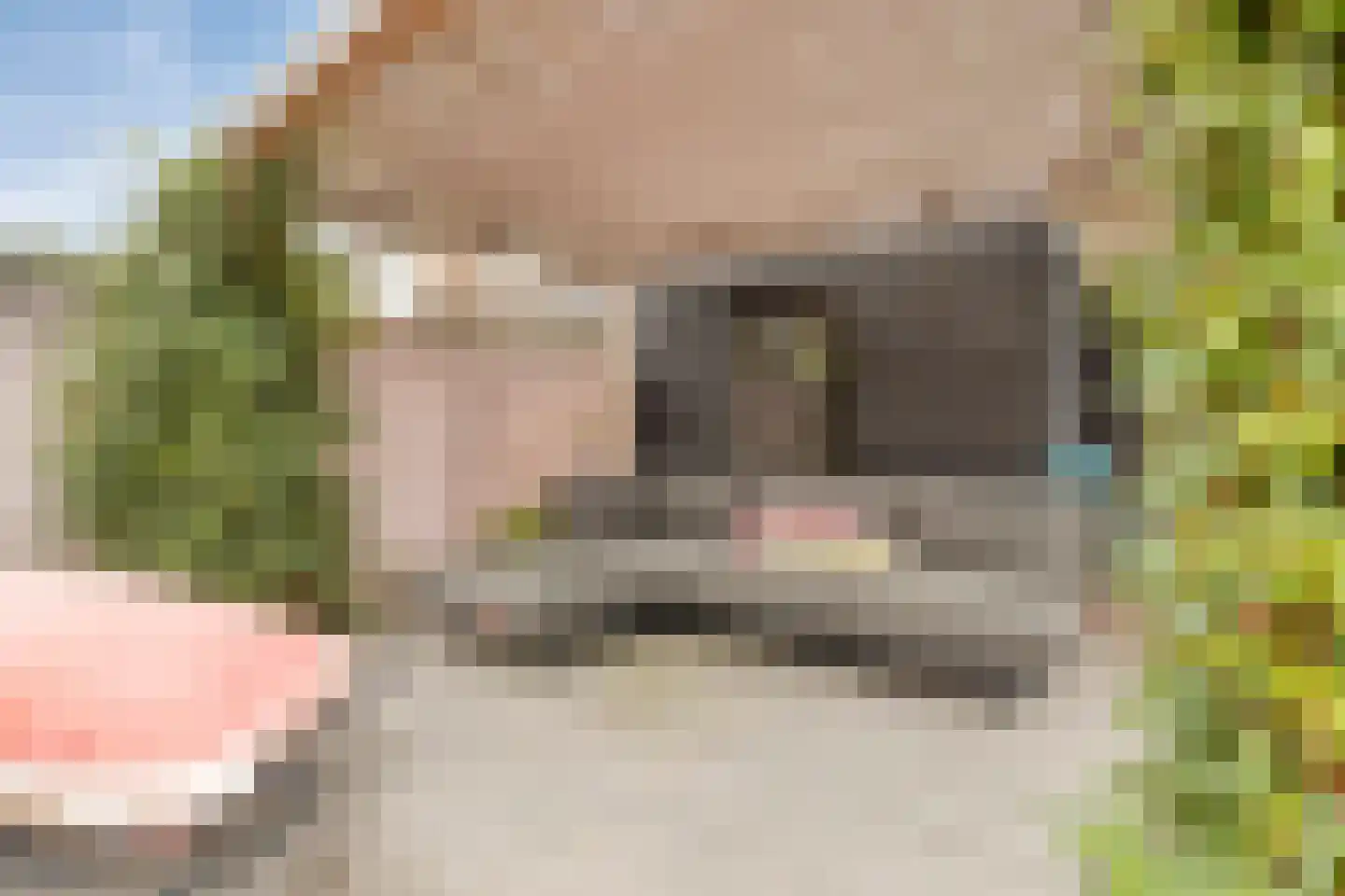 Langehof 13 Ammerzoden thumbnail 37
