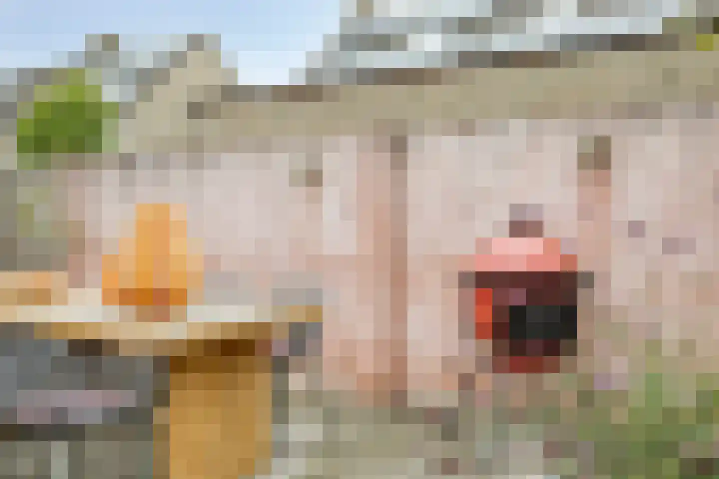 Langehof 13 Ammerzoden thumbnail 38