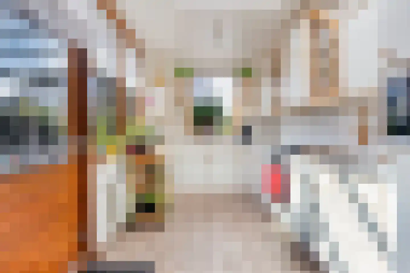 Langehof 15 Ammerzoden thumbnail 10