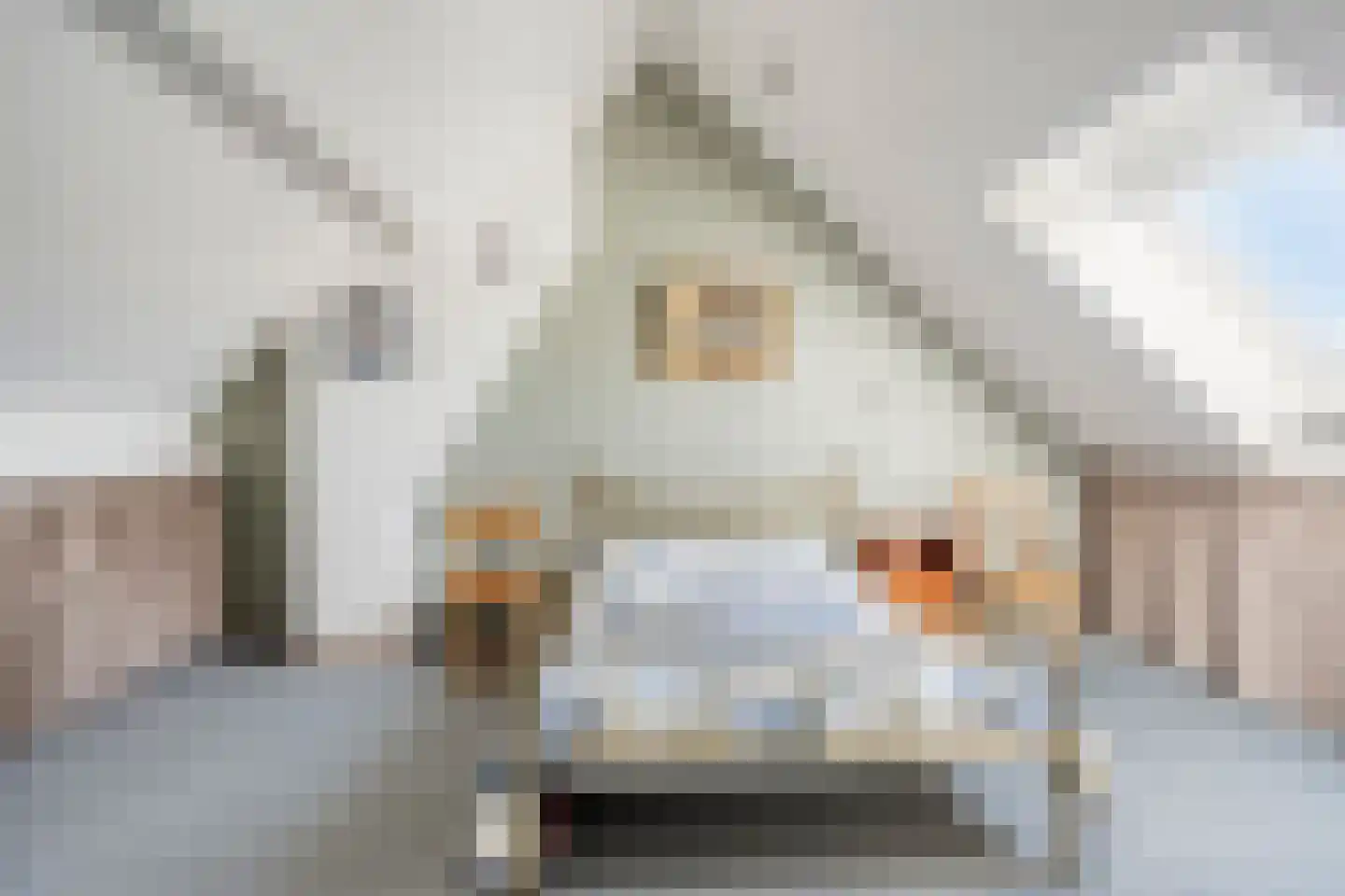 Langehof 15 Ammerzoden thumbnail 19