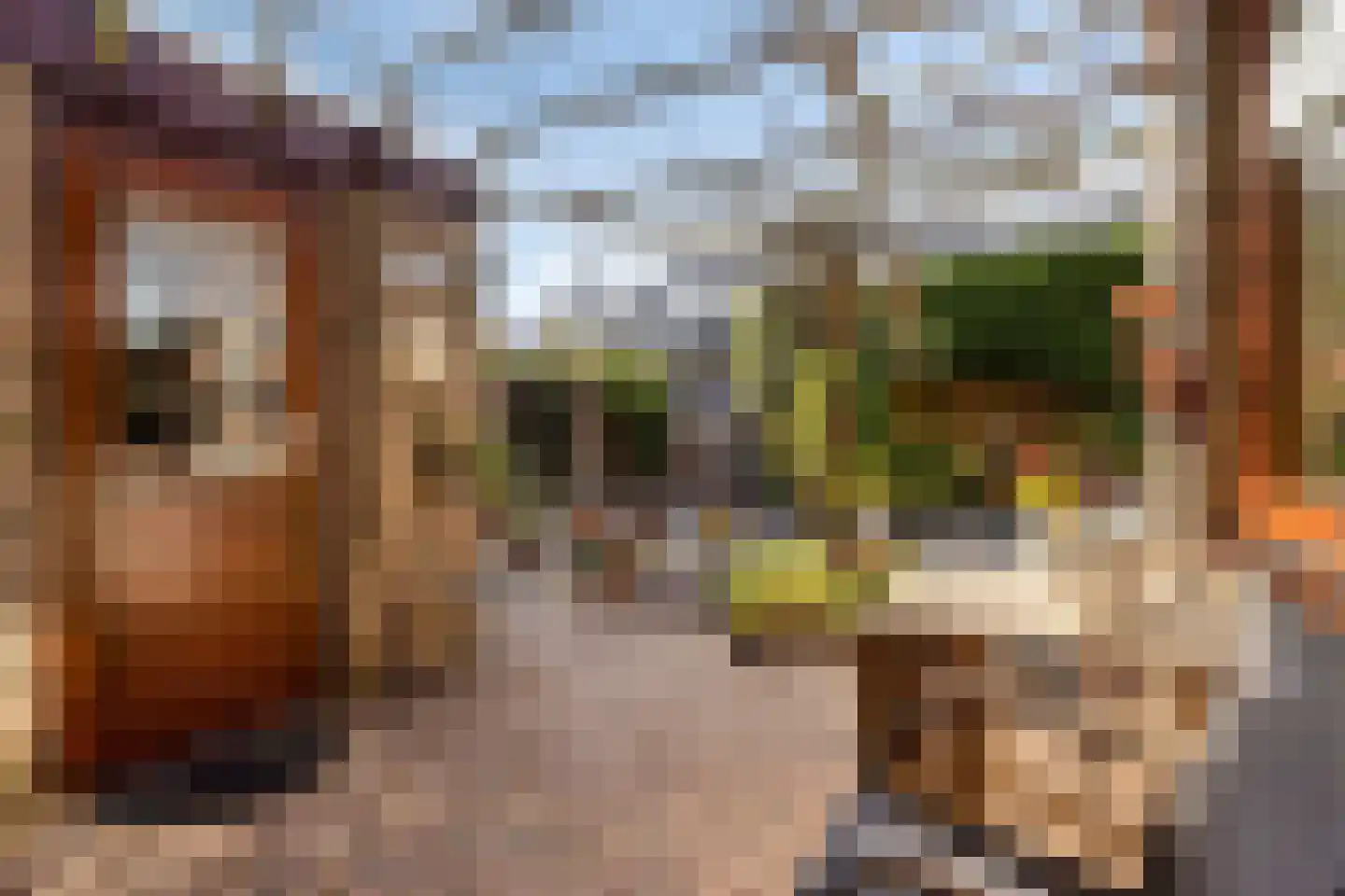 Langehof 15 Ammerzoden thumbnail 21