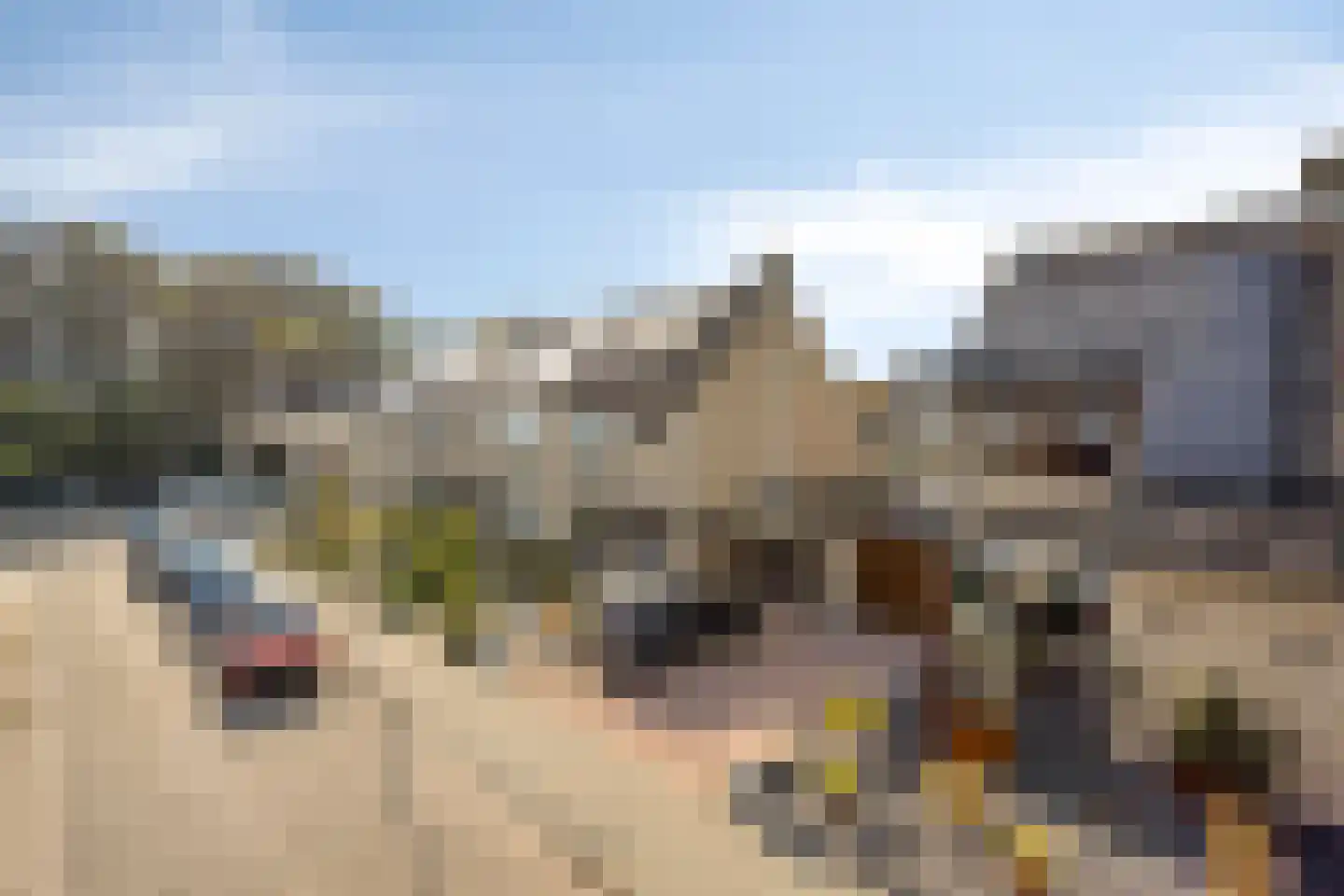 Langehof 15 Ammerzoden thumbnail 28